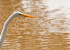 024DSC_3425